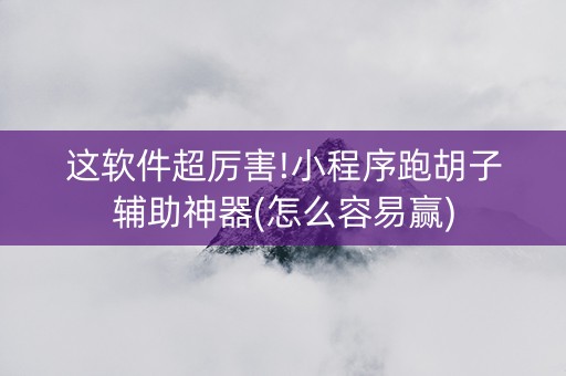 这软件超厉害!小程序跑胡子辅助神器(怎么容易赢)
