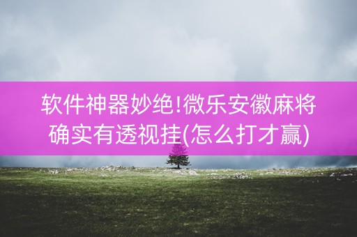 软件神器妙绝!微乐安徽麻将确实有透视挂(怎么打才赢)