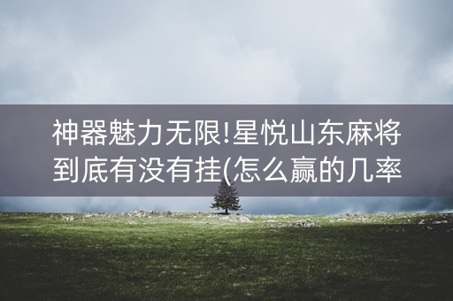 神器魅力无限!星悦山东麻将到底有没有挂(怎么赢的几率大)