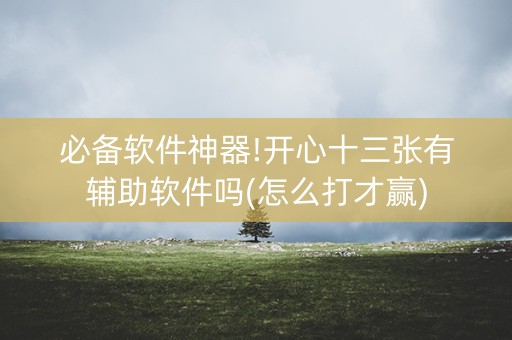 必备软件神器!开心十三张有辅助软件吗(怎么打才赢)