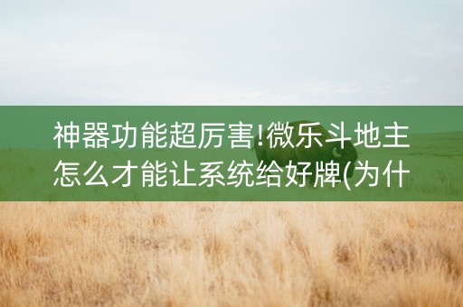 神器功能超厉害!微乐斗地主怎么才能让系统给好牌(为什么牌一直很差)