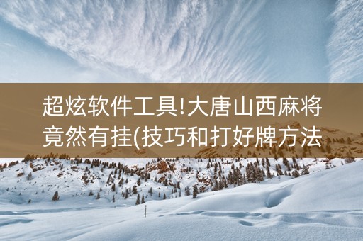 超炫软件工具!大唐山西麻将竟然有挂(技巧和打好牌方法)