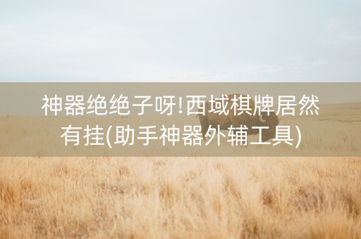 神器绝绝子呀!西域棋牌居然有挂(助手神器外辅工具)
