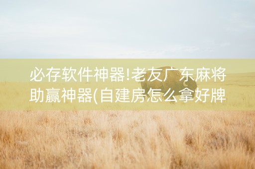 必存软件神器!老友广东麻将助赢神器(自建房怎么拿好牌)