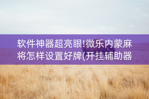 软件神器超亮眼!微乐内蒙麻将怎样设置好牌(开挂辅助器脚本)