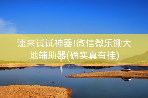 速来试试神器!微信微乐锄大地辅助器(确实真有挂)