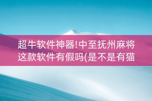 超牛软件神器!中至抚州麻将这款软件有假吗(是不是有猫腻)