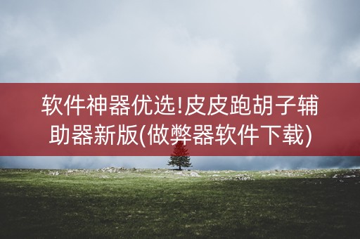软件神器优选!皮皮跑胡子辅助器新版(做弊器软件下载)