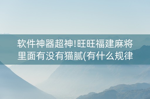 软件神器超神!旺旺福建麻将里面有没有猫腻(有什么规律)