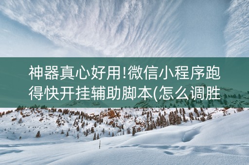 神器真心好用!微信小程序跑得快开挂辅助脚本(怎么调胜率)