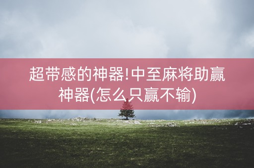 超带感的神器!中至麻将助赢神器(怎么只赢不输)