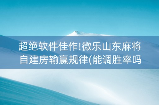 超绝软件佳作!微乐山东麻将自建房输赢规律(能调胜率吗)