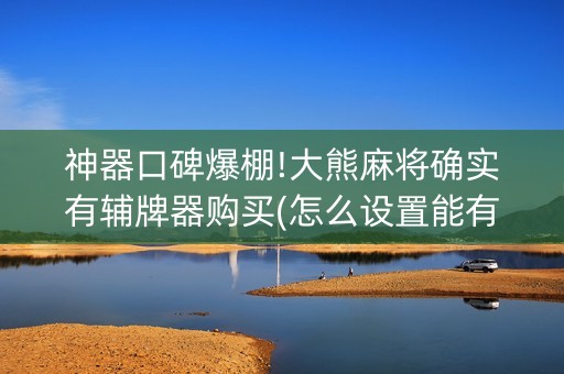 神器口碑爆棚!大熊麻将确实有辅牌器购买(怎么设置能有好牌)
