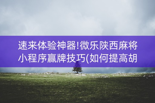 速来体验神器!微乐陕西麻将小程序赢牌技巧(如何提高胡牌率)