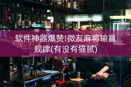 软件神器爆赞!微友麻将输赢规律(有没有猫腻)