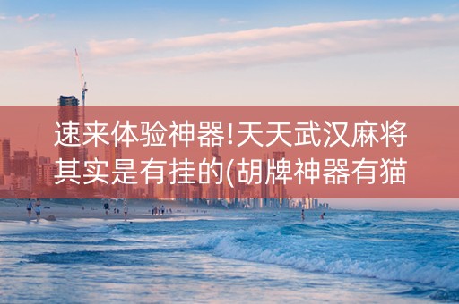 速来体验神器!天天武汉麻将其实是有挂的(胡牌神器有猫腻吗)