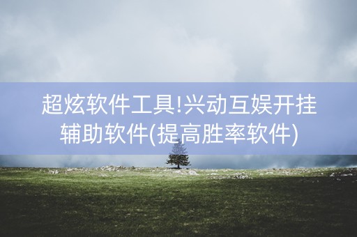 超炫软件工具!兴动互娱开挂辅助软件(提高胜率软件)