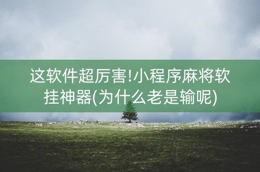 这软件超厉害!小程序麻将软挂神器(为什么老是输呢)
