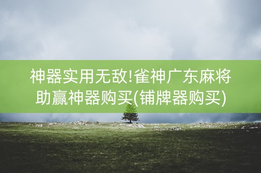 神器实用无敌!雀神广东麻将助赢神器购买(铺牌器购买)