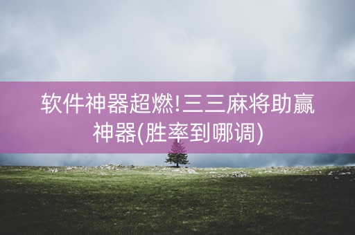 软件神器超燃!三三麻将助赢神器(胜率到哪调)