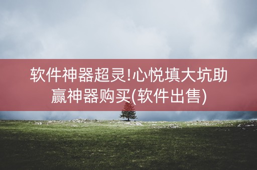 软件神器超灵!心悦填大坑助赢神器购买(软件出售)