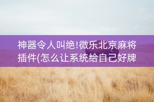 神器令人叫绝!微乐北京麻将插件(怎么让系统给自己好牌)