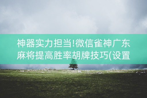 神器实力担当!微信雀神广东麻将提高胜率胡牌技巧(设置提高好牌几率)