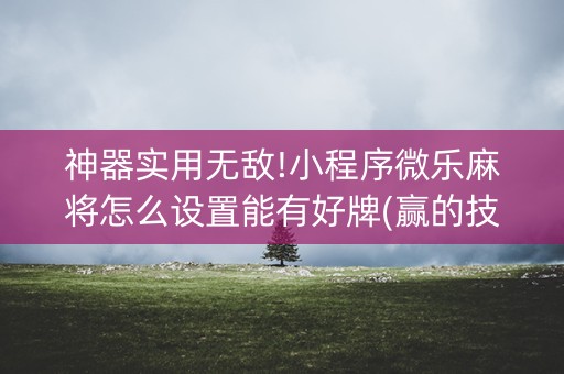 神器实用无敌!小程序微乐麻将怎么设置能有好牌(赢的技巧规律)