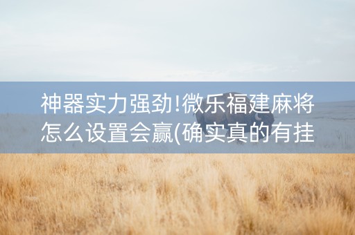神器实力强劲!微乐福建麻将怎么设置会赢(确实真的有挂)
