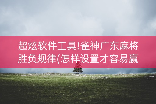 超炫软件工具!雀神广东麻将胜负规律(怎样设置才容易赢)