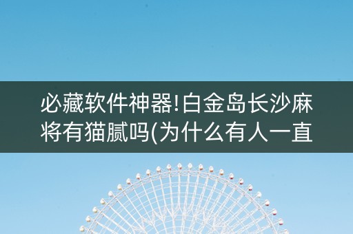 必藏软件神器!白金岛长沙麻将有猫腻吗(为什么有人一直赢)