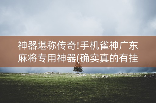 神器堪称传奇!手机雀神广东麻将专用神器(确实真的有挂)