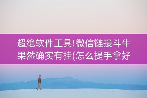 超绝软件工具!微信链接斗牛果然确实有挂(怎么提手拿好牌)
