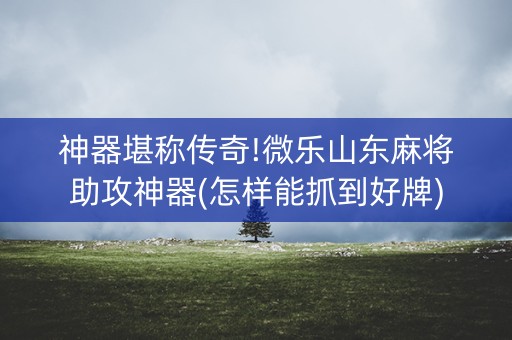 神器堪称传奇!微乐山东麻将助攻神器(怎样能抓到好牌)
