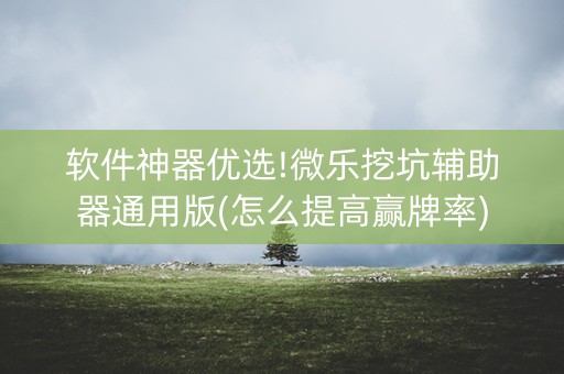 软件神器优选!微乐挖坑辅助器通用版(怎么提高赢牌率)