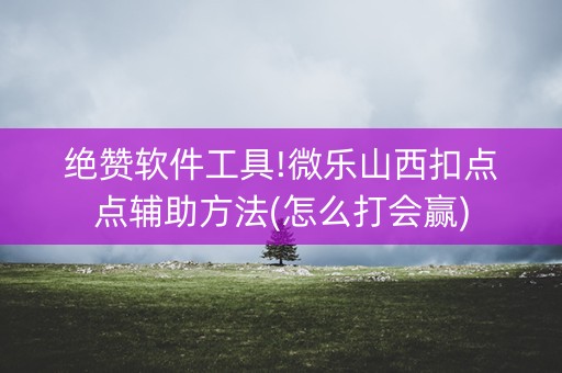 绝赞软件工具!微乐山西扣点点辅助方法(怎么打会赢)