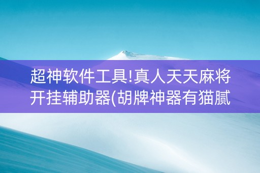 超神软件工具!真人天天麻将开挂辅助器(胡牌神器有猫腻吗)