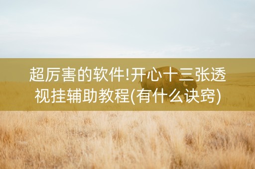 超厉害的软件!开心十三张透视挂辅助教程(有什么诀窍)