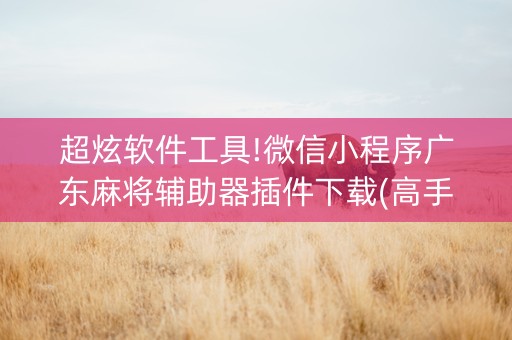 超炫软件工具!微信小程序广东麻将辅助器插件下载(高手讲解技术)