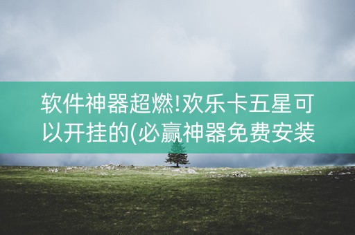 软件神器超燃!欢乐卡五星可以开挂的(必赢神器免费安装)