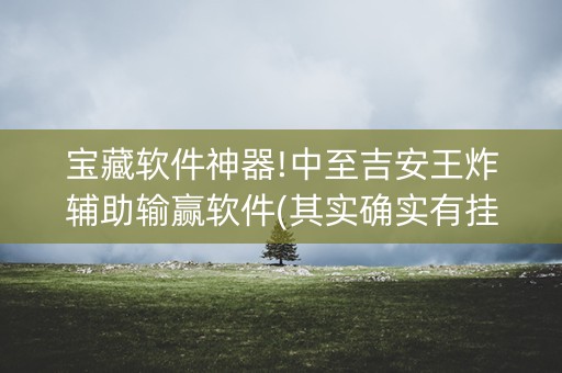 宝藏软件神器!中至吉安王炸辅助输赢软件(其实确实有挂)