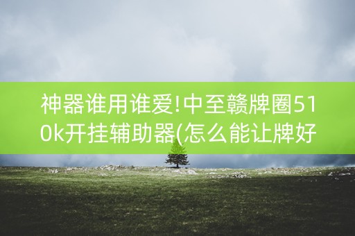 神器谁用谁爱!中至赣牌圈510k开挂辅助器(怎么能让牌好一点)