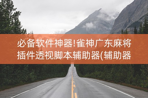 必备软件神器!雀神广东麻将插件透视脚本辅助器(辅助器插件)