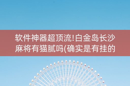 软件神器超顶流!白金岛长沙麻将有猫腻吗(确实是有挂的)