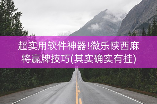 超实用软件神器!微乐陕西麻将赢牌技巧(其实确实有挂)