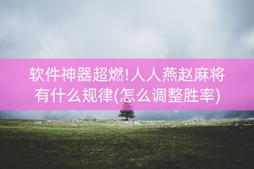 软件神器超燃!人人燕赵麻将有什么规律(怎么调整胜率)