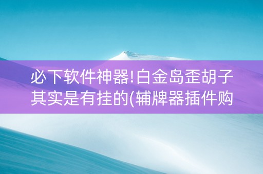 必下软件神器!白金岛歪胡子其实是有挂的(辅牌器插件购买)
