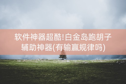 软件神器超酷!白金岛跑胡子辅助神器(有输赢规律吗)