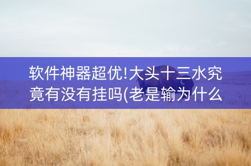 软件神器超优!大头十三水究竟有没有挂吗(老是输为什么)