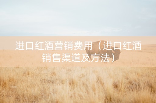进口红酒营销费用（进口红酒销售渠道及方法）